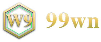 99wn logo
